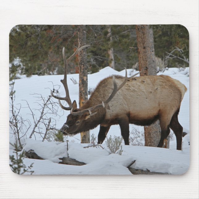 Mousepad Elk (Frente)