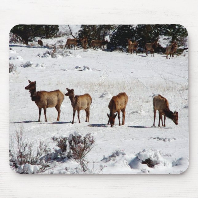 Mousepad Elk no soprador de neve (Frente)