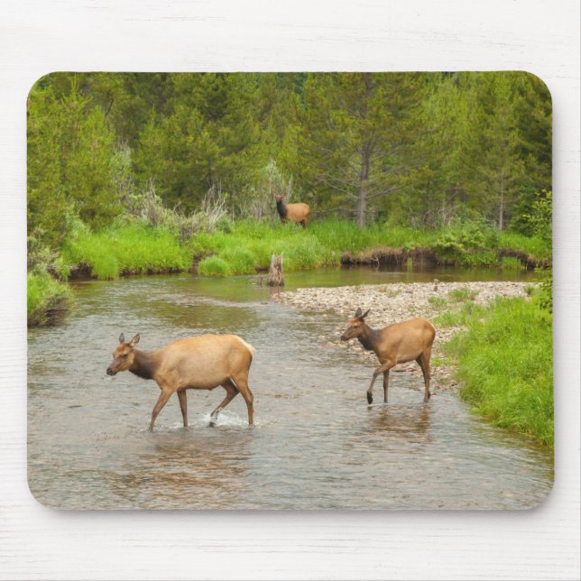 Mousepad Elks atravessando o Rio Colorado (Frente)