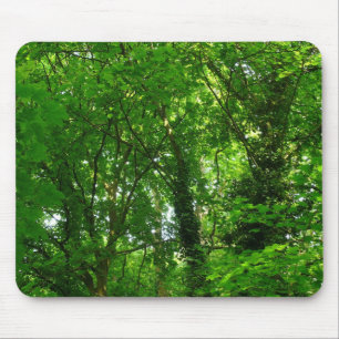 Mousepad Em cima nas árvores