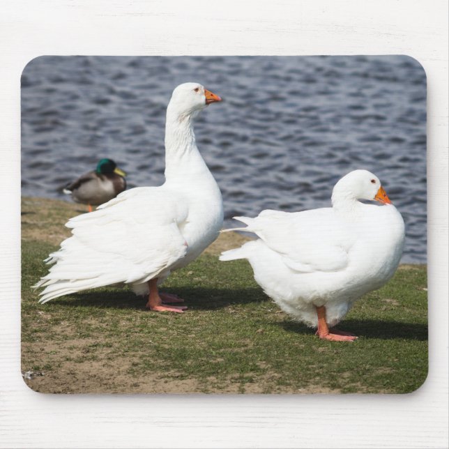Mousepad Embden Geese (Frente)