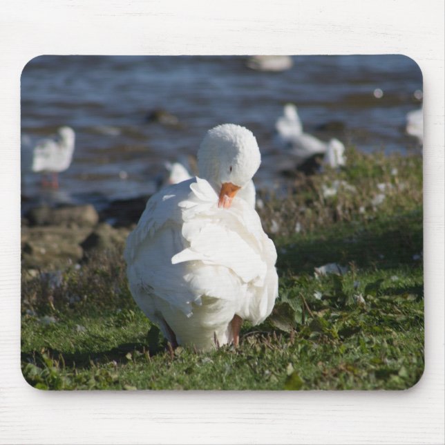 Mousepad Embden Goose (Frente)