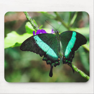 Mousepad Emerald Swallowtail Exótico