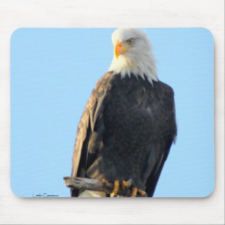 Mousepad Empoleirado orgulhosa