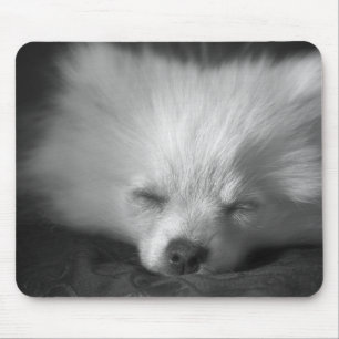 Mousepad empurra... eu vou ter um mousemat de pausa