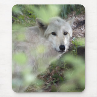 Mousepad Encanto do lobo