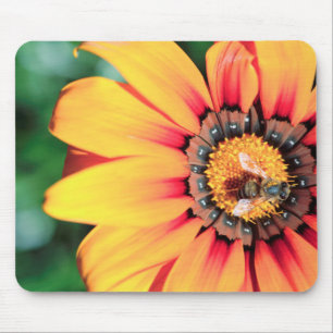 Mousepad Encerramento Extremo De Uma Abelha Que Coleta O Pó