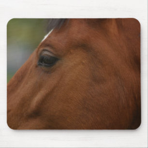 Mousepad Encosto do Cavalo de Baía