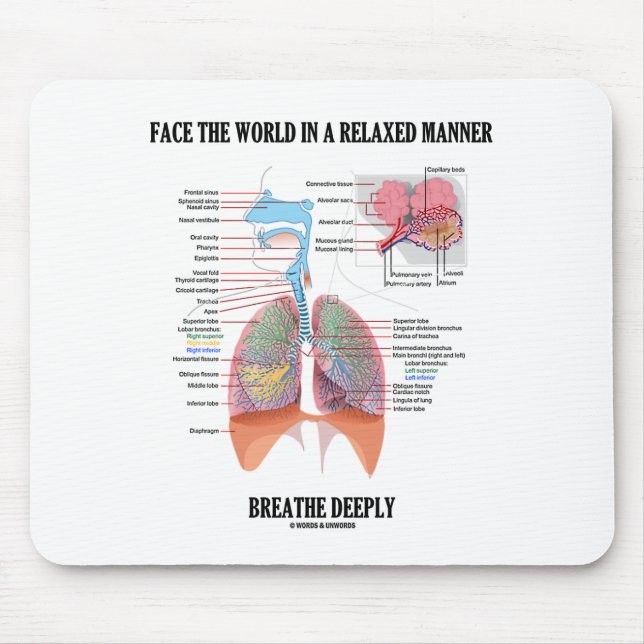 Mousepad Enfrente o mundo em uma maneira Relaxed respiram (Frente)