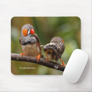 Mousepad Engraçada Saucy Cheeky Par de Zebra Finches Canavi