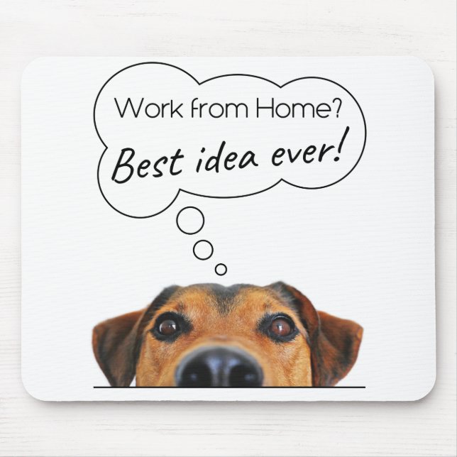 Mousepad Engraçado Cachorro Louco Humor: Trabalho de Casa?  (Frente)