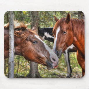 Mousepad Engraçado Chestnut Stallion & Mare em uma foto da
