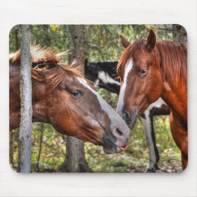 Mousepad Engraçado Chestnut Stallion & Mare em uma foto da  (Frente)