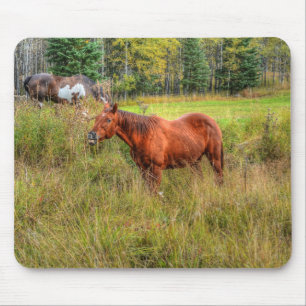 Mousepad Engraçado Engraçado Chestnut Mare & Pasture Foto