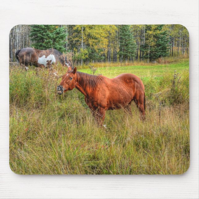 Mousepad Engraçado Engraçado Chestnut Mare & Pasture Foto (Frente)