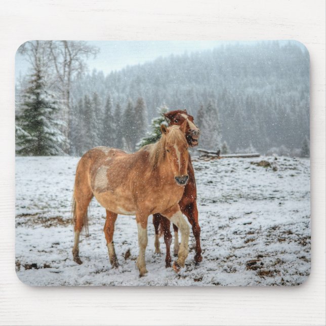 Mousepad Engraçado Palomino e Red Dun Ranch Horses na Neve (Frente)