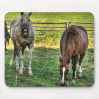 Mousepad Engraçado Pinto Stallion & Sorrel Mare Horse Amigo