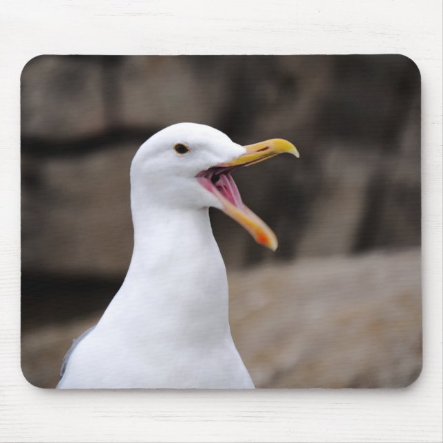 Mousepad ENGRAY Seagull (Frente)