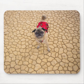 Mousepad "Enrugamentos Pug engraçado da aventura nas