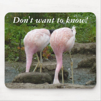 Mousepad Enterrando a cabeça na areia!