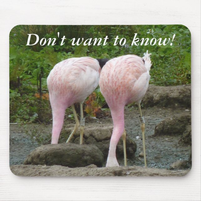 Mousepad Enterrando a cabeça na areia! (Frente)