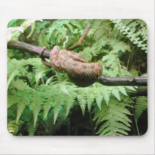 Mousepad Envoltório do cobra da floresta húmida - mousepa