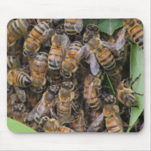 Mousepad Enxame de Abelhas de Honeybee