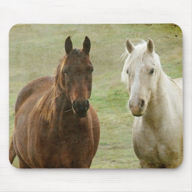 Mousepad Equinos Buddies (Frente)