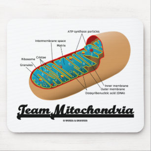 Mousepad Equipe Mitocôndria Mitocondrion Humor