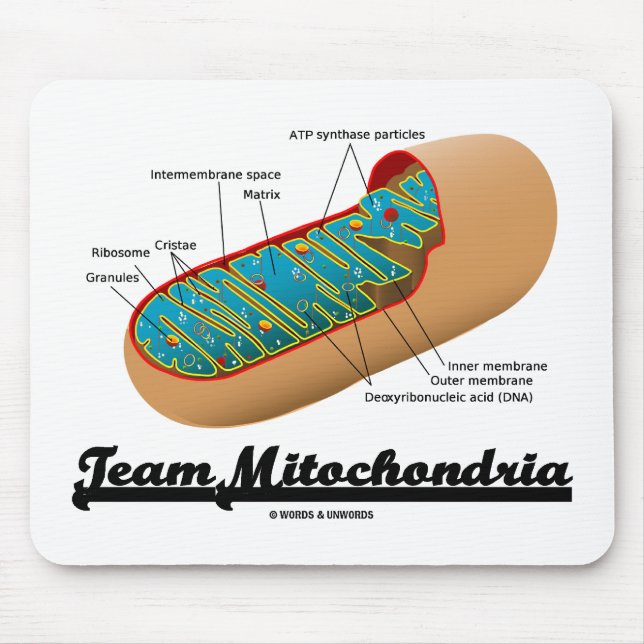 Mousepad Equipe Mitocôndria Mitocondrion Humor (Frente)