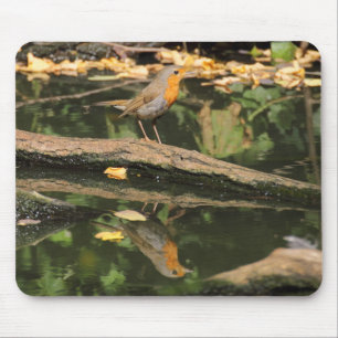 Mousepad Erithacus rubecula