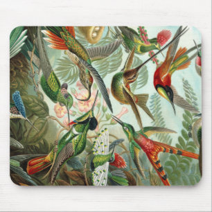 Mousepad Ernst Haeckel Art Impressão: Trochilidae