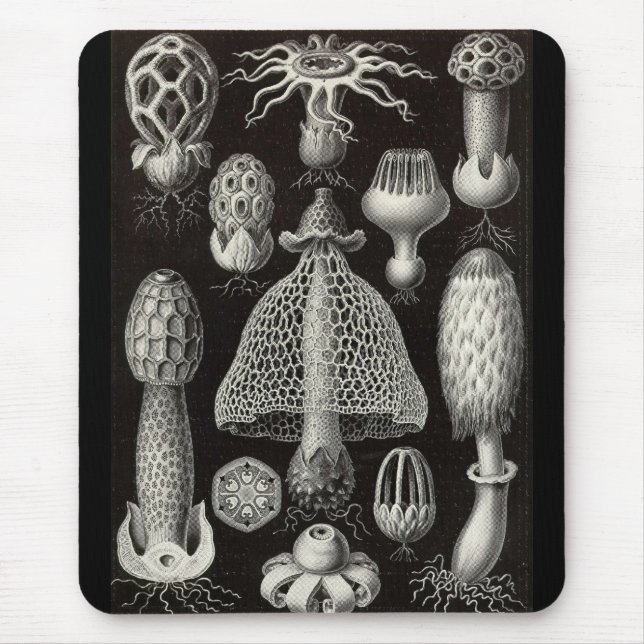 Mousepad Ernst Haeckel - cogumelos de Basimycetes (Frente)