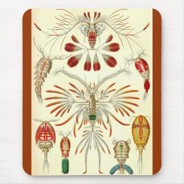 Mousepad Ernst Haeckel - Copepoda (Frente)
