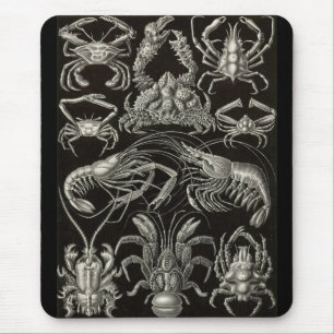 Mousepad Ernst Haeckel - Decapoda