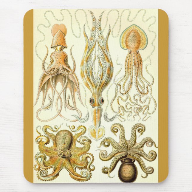 Mousepad Ernst Haeckel - Gamochonia (Frente)