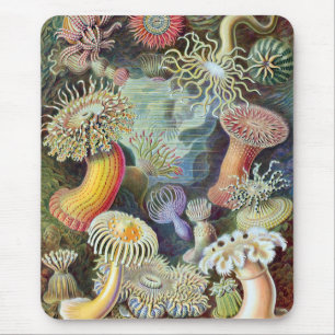 Mousepad Ernst Haeckel Kunstformen der Nature Actiniae