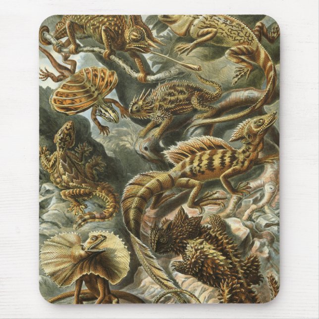 Mousepad Ernst Haeckel - Lacertilia (Frente)