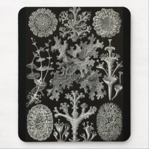 Mousepad Ernst Haeckel - Lichenes