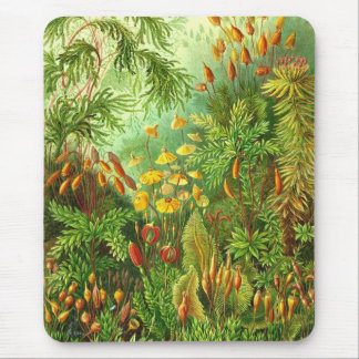 Mousepad Ernst Haeckel - Muscinae