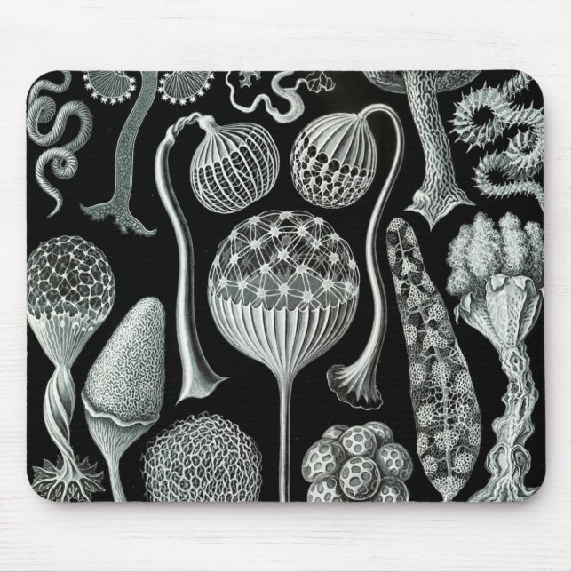 Mousepad Ernst Haeckel Naturalista (Frente)