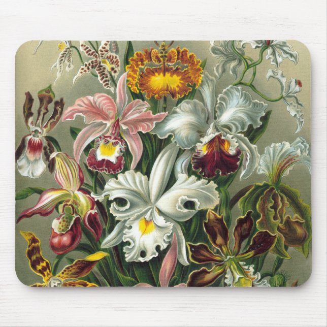 Mousepad Ernst Haeckel Orquídeas, Flores da Floresta Tropic (Frente)