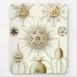 Mousepad Ernst Haeckel Phaeodaria