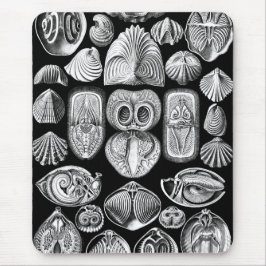 Mousepad Ernst Haeckel Spirobranchia