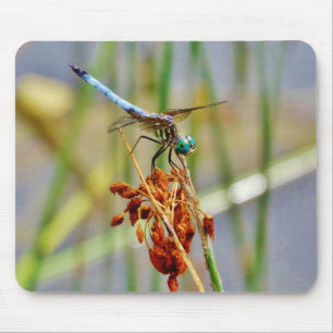 Mousepad Erva de areia e Dragonfly