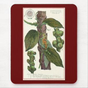 Mousepad Ervas e especiarias alimentares vintage, planta de