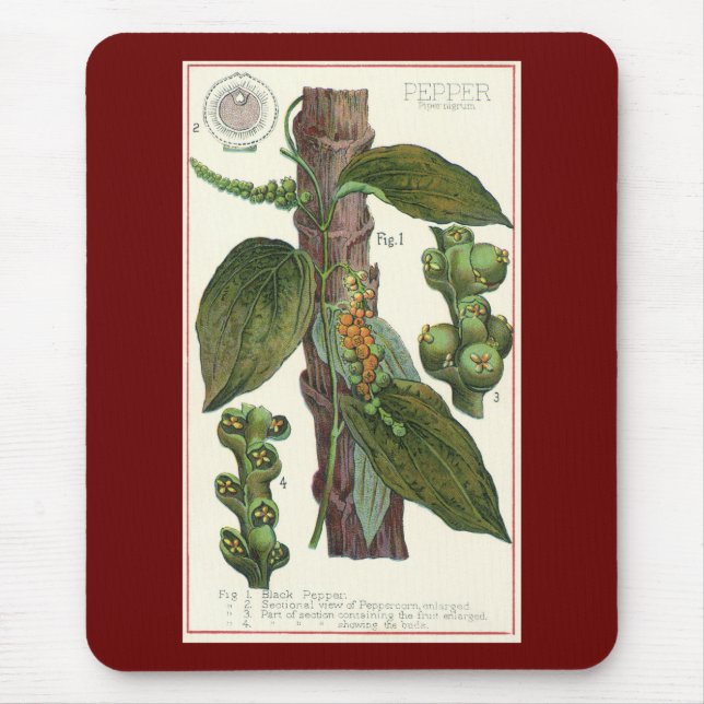 Mousepad Ervas e especiarias alimentares vintage, planta de (Frente)