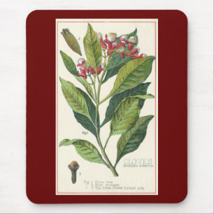 Mousepad Ervas e especiarias alimentares vintage, planta de