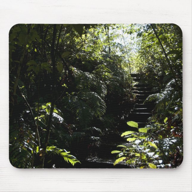 Mousepad Escadaria/passeio rústicos na floresta, luz solar (Frente)