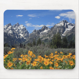 Mousepad Escala de Teton grande coberto de neve com flores